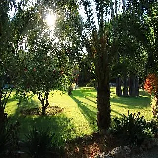 Finca Hotel Predio Son Serra