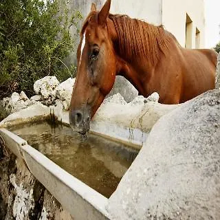 קאן פיקפורט Finca Hotel Predio Son Serra